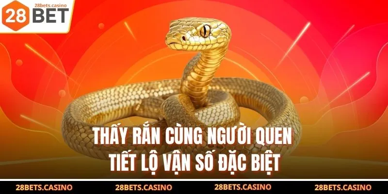 Mơ Thấy Rắn – Bí Mật Con Số Trúng Sau Từng Chi Tiết Mơ 4 Thấy rắn cùng người quen tiết lộ vận số đặc biệt